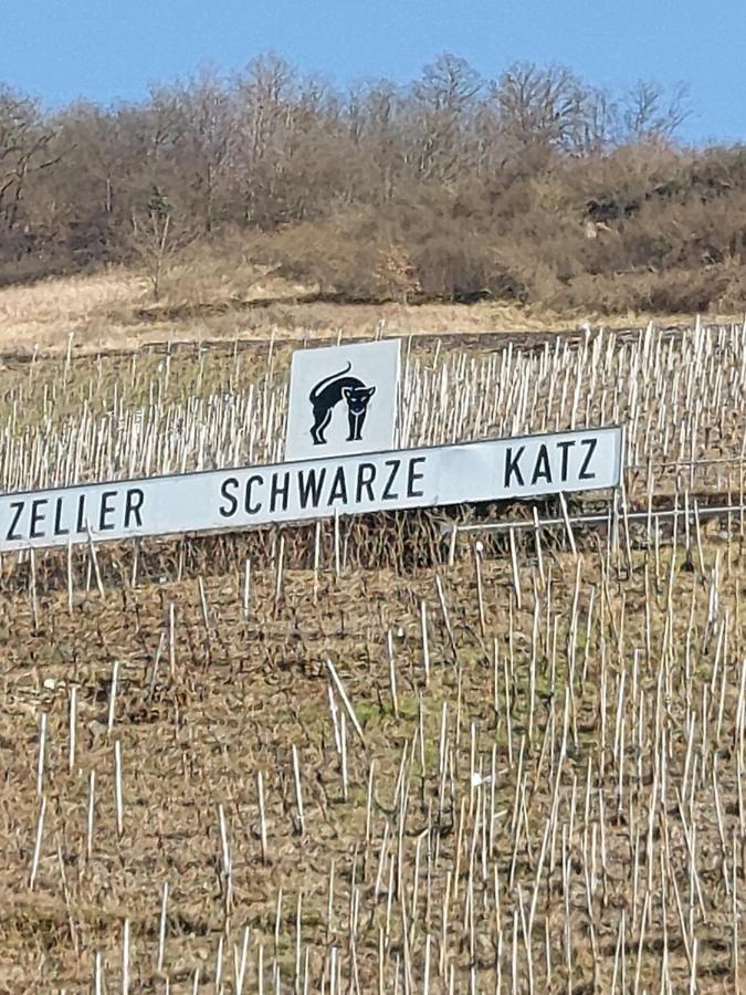 Fewo Siemens Mosel Zell Exterior foto